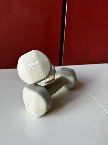 3KG Weights