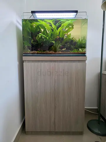 Aquarium and Cabinet Set Fish Tank