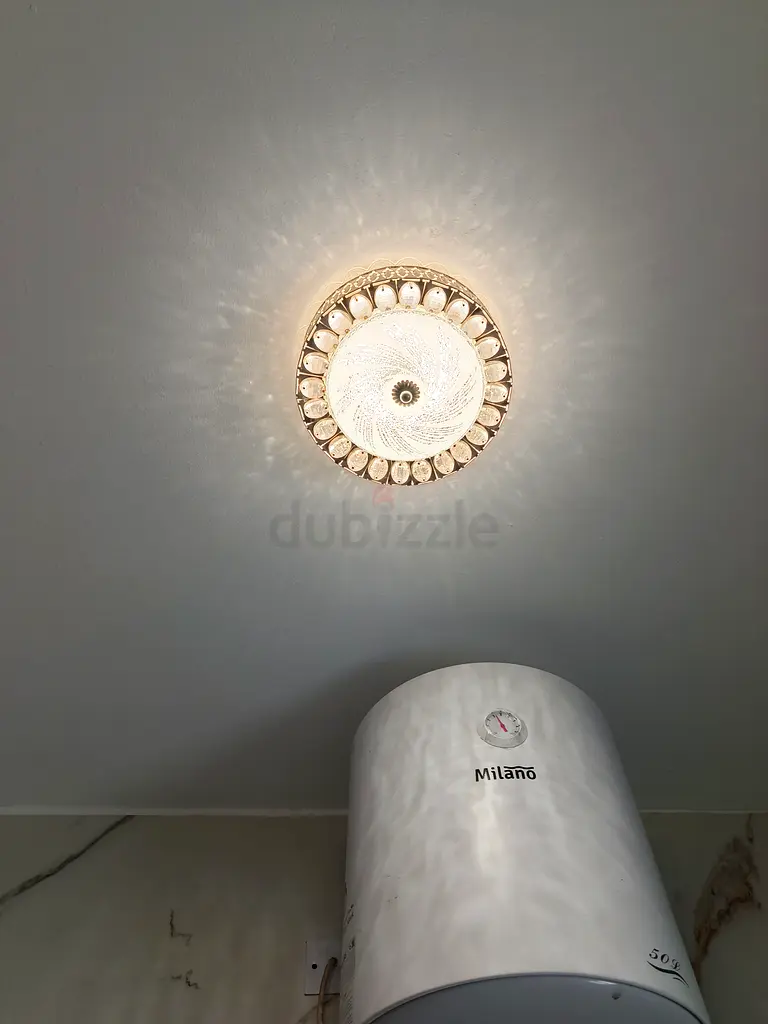 DPV_View_Image_2
