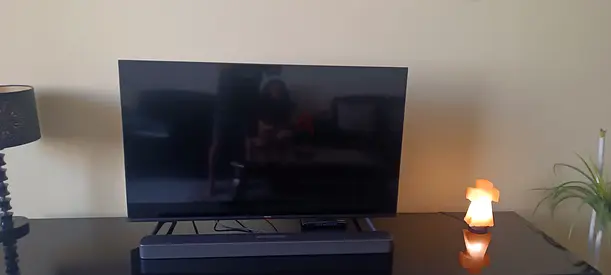Television