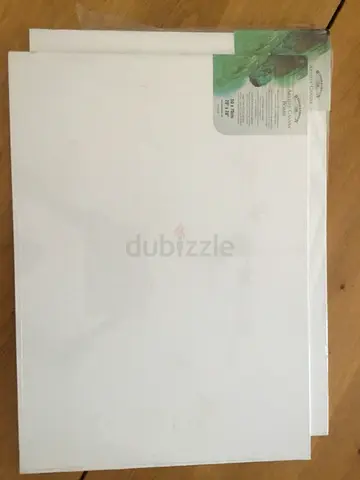 2 Pack of Brand New Blank Painting Canvases (Multiple)