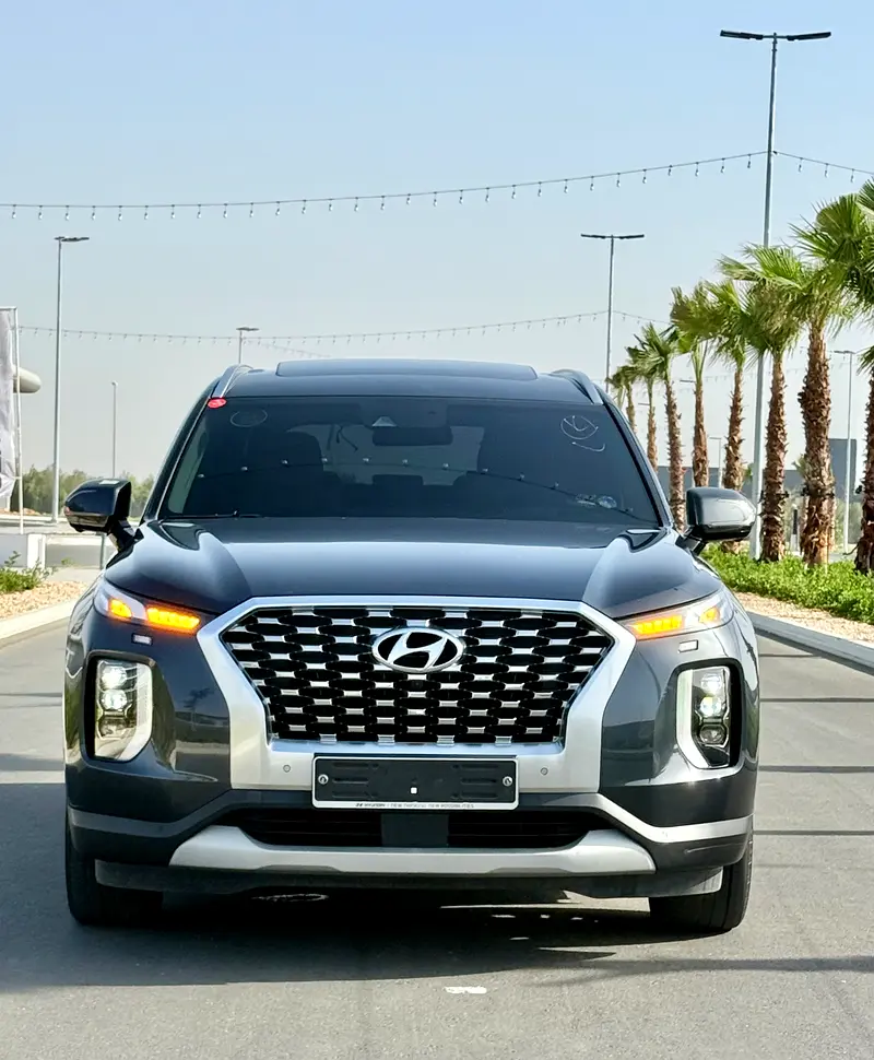 Hyundai Palisade 2020 — photo 1 of 20