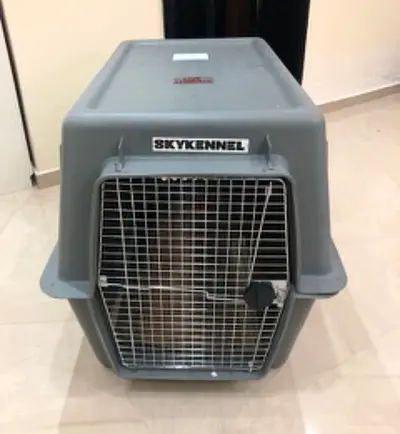 Dogs carriers for air travel extra large