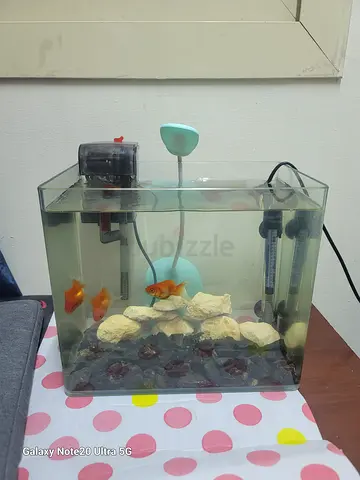 Small aquarium