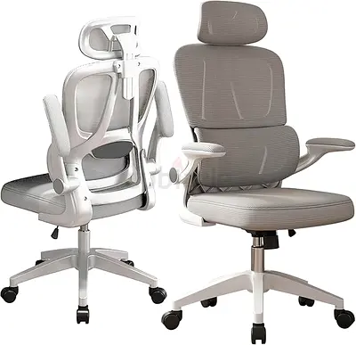 Ergonomic Office Chair, High Back Home Desk