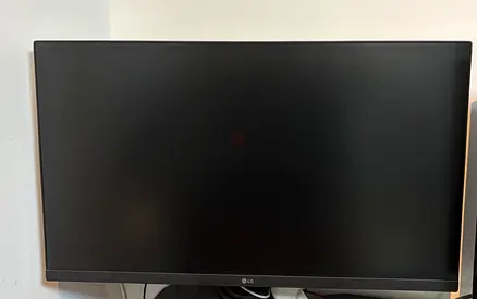 LG 27-inch Computer Monitor
