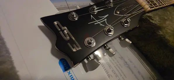 ESP James Hetfield Truckster Signature Model