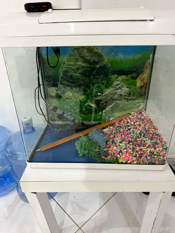 Used Glass Aquarium Tank with Gravel , filter, and Decorations