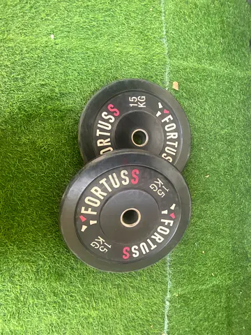 15kg weight plate bumper
