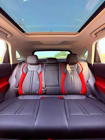 Hongqi HS3 Luxury Pro, миниатюра 15