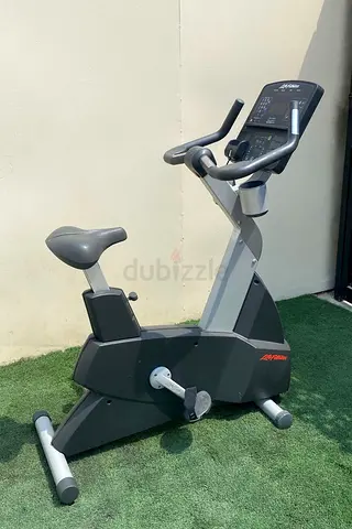 Life Fitness Life Cycle Bike