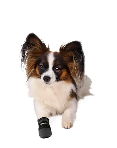 Protective boots for dogs