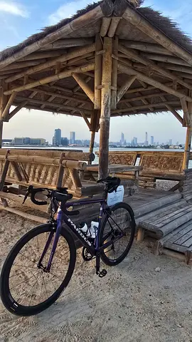Pardus Robin SL Road Bike