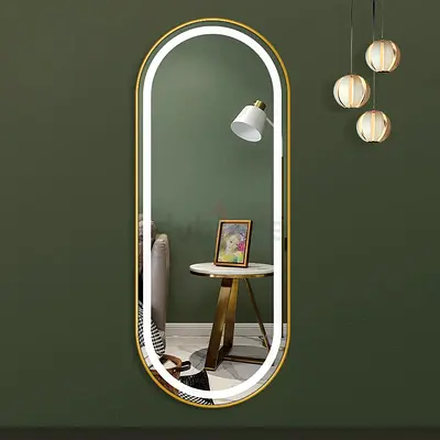 Tall Oval Wall Mirror with Gold Frame and LED Lighting