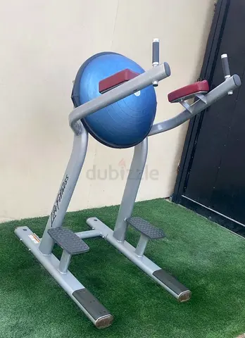 Life fitness Signature Leg Raise