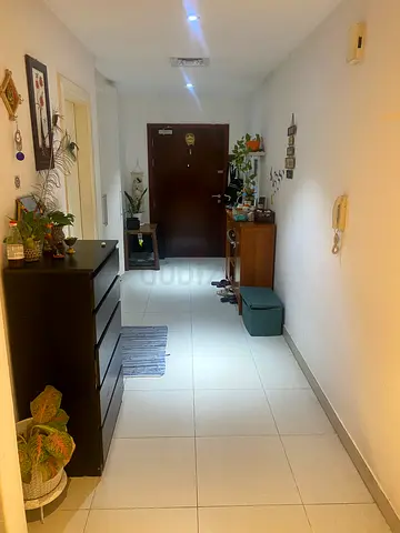 1 bhk for rent for for 2 months from July first week to August last