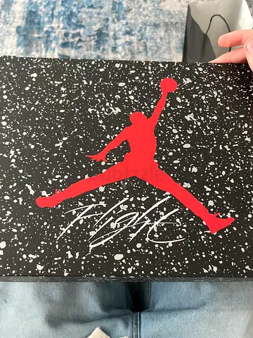 Jordan sneaker with original lid — Air Jordan logo
