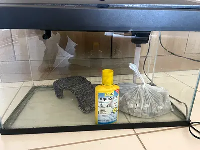 60x30cm Fish Aquarium Tank with Hood and Accessories
