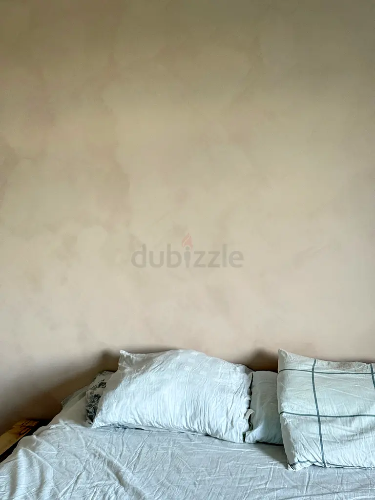 DPV_View_Image_9