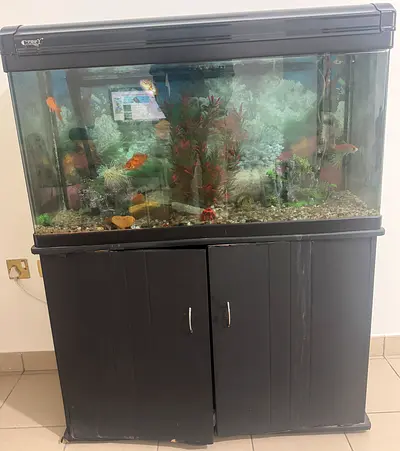 Large glass aquarium with black wooden cabinet stand