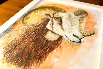 Hand-Painted Wildlife Artwork | Beautifully Framed Ram Watercolor Portrait | By Charlie