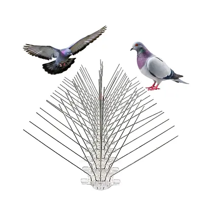 Bird Spike Strip - Stainless Steel Pigeon Deterrent (Clear Base)