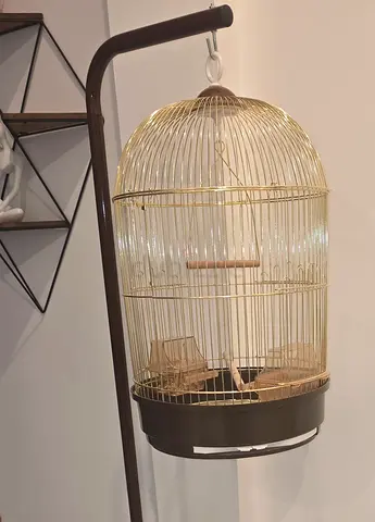Golden Bird Cage with stand