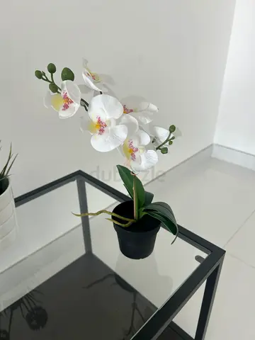 Artificial orchard plant