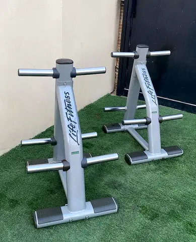 Life fitness weight rack