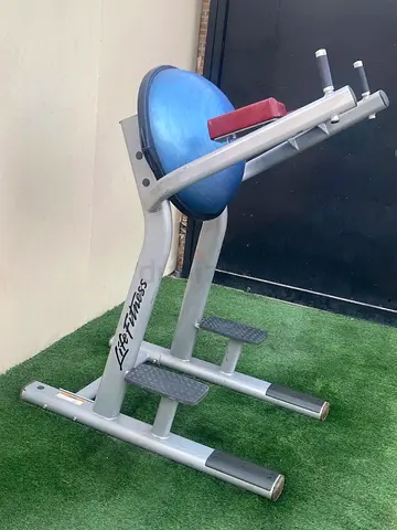 Life fitness Signature Leg Raise