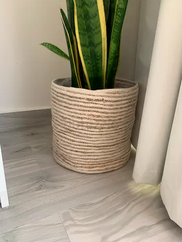 Plants and pots