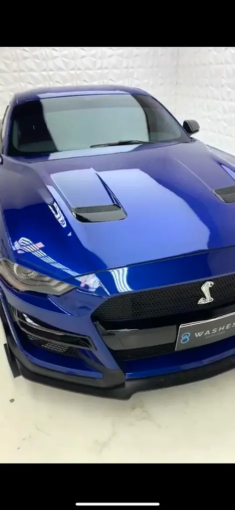 Ford Mustang 2018 — photo 1 of 10