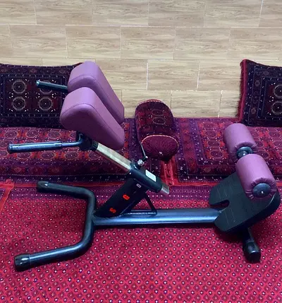 Super Gym Hyperextension