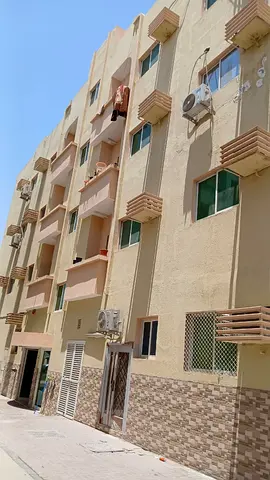 للبيع بناية استثمارية في مويلح بعائد مميز