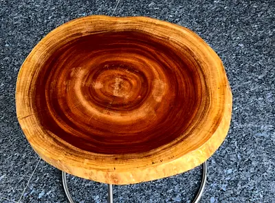 Beautiful Live edge round side table