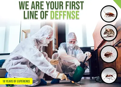 Keep your home pest free and peaceful say goodbye to pests invading your home
