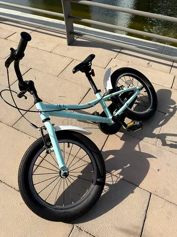 Giant Liv Adore 16 Kids Bike