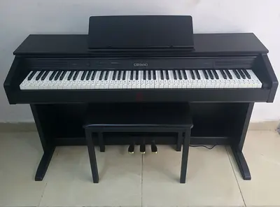 The Casio AP-260 (part of the Celviano series) entry-to-mid-level digital console piano