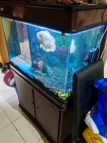 Large glass aquarium with wooden cabinet and fish