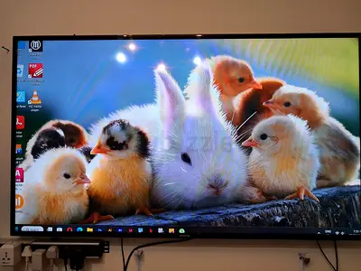 Samsung TV 65inch