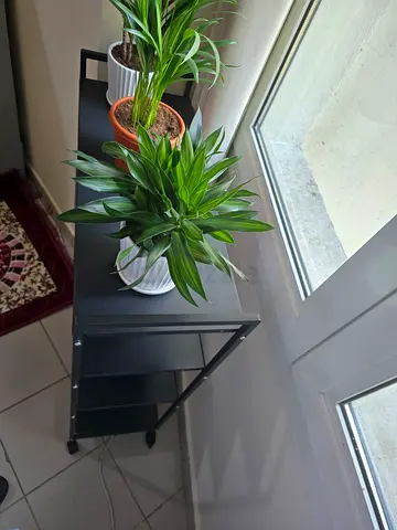 Slim black metal 4-tier shelving unit — ideal for plants or hallway storage