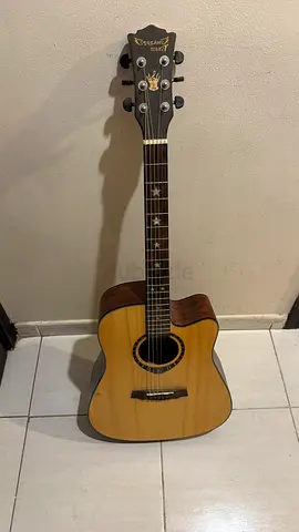 Guitar - Great condition.