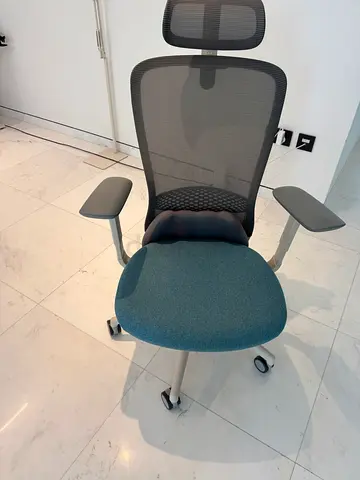 Ergonomic Mesh Office Chair with Lumbar Support and Adjustable Armrests.