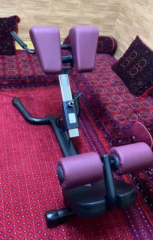 Super Gym Hyperextension