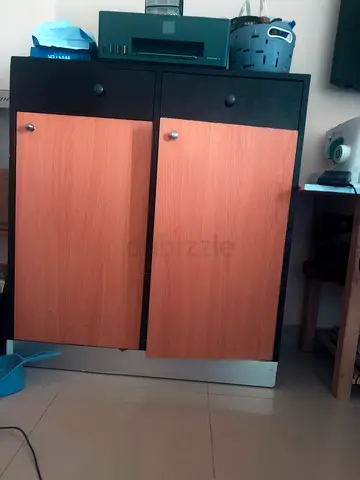 Two Door Storage Cabinet with Black and Wood Finish