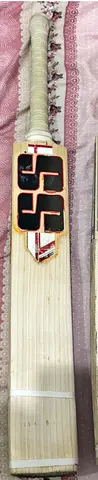 Cricket bat