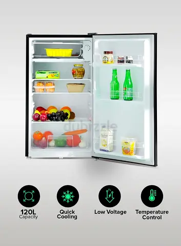 Mini Defrost Refrigerator