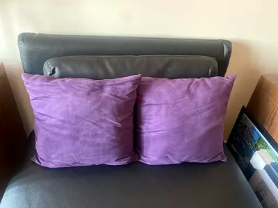 Two Purple Cushions