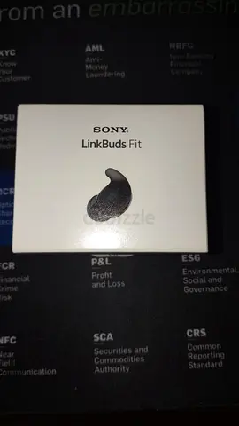 SONY LinkBuds fit