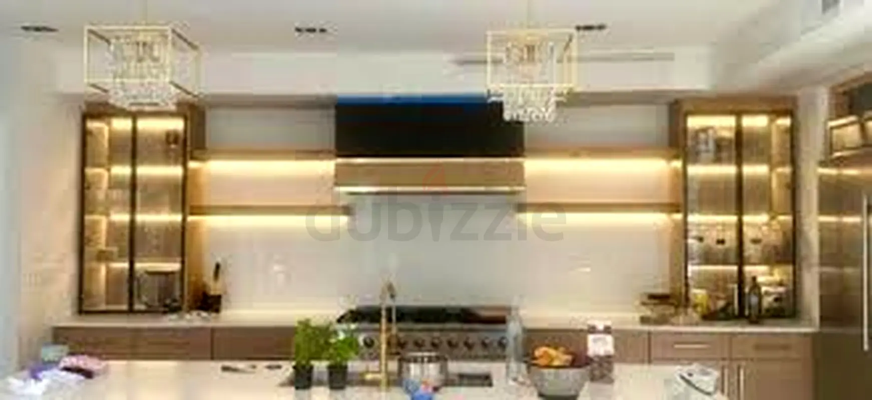 DPV_View_Image_0